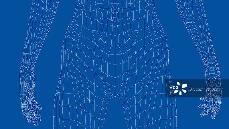 女性腹部线框图片素材