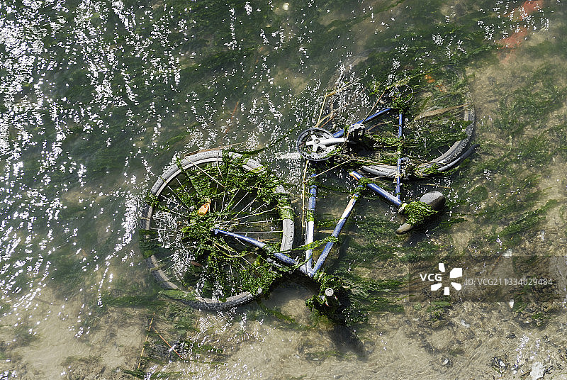 被绿色藻类覆盖的自行车，特鲁维尔港图片素材