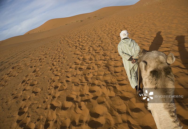 摩洛哥，柏柏尔男人拉着骆驼队图片素材
