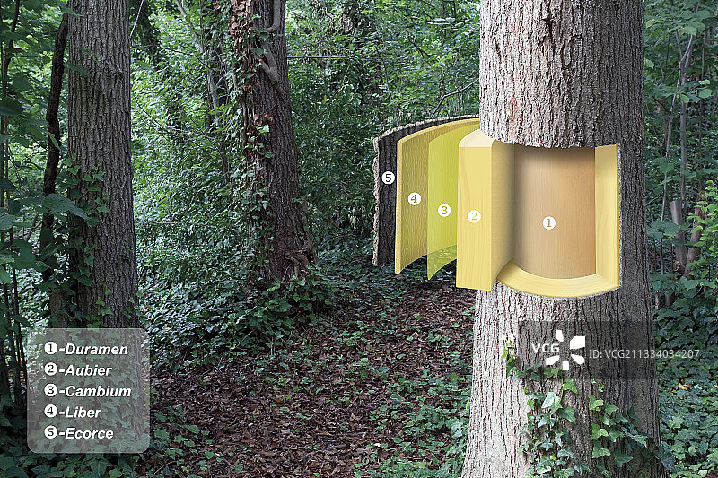 木材分层展示带文字图片素材