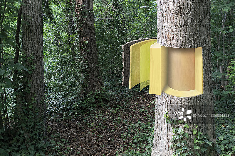 不同木材层面的演示图片素材