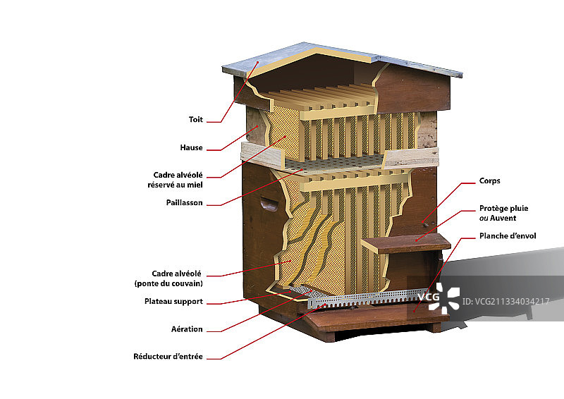 蜂巢结构及图例展示图片素材