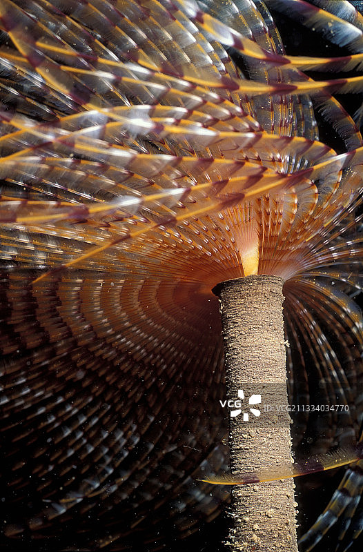 地中海法国的斯帕兰扎尼图片素材