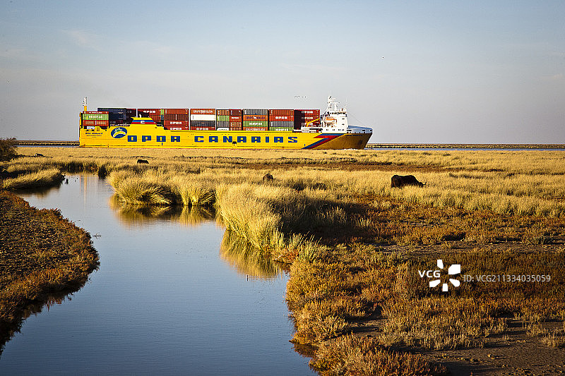 瓜达尔基维尔河上的集装箱船，科托多纳纳，西班牙图片素材