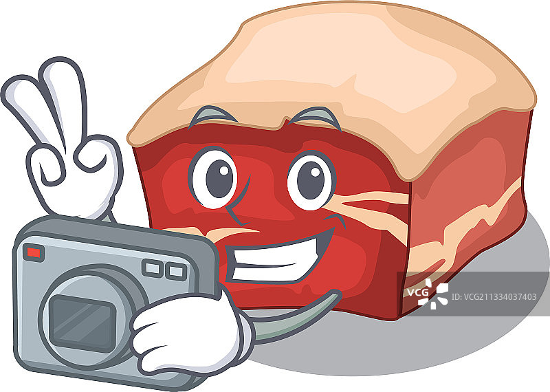专注工作的摄影师卡通红烧肉图片素材