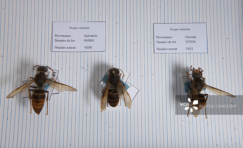 吉夫-伊薇特法国国家科学研究中心图片素材
