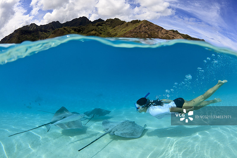 粉色蝠鲼与泻湖中的游泳者，茉莉雅图片素材
