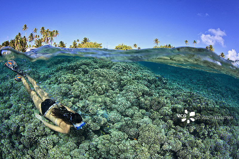 在珊瑚礁上游泳（法卡拉瓦，法属波利尼西亚）图片素材