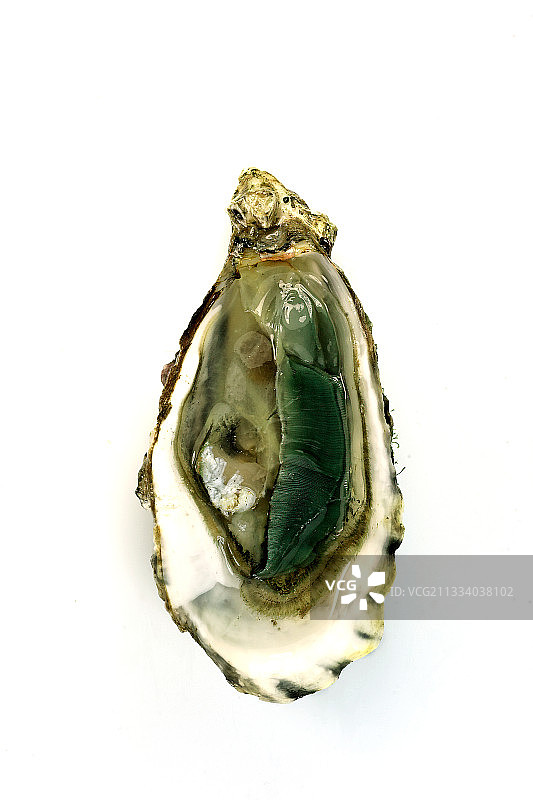 1966年从日本引进法国的非本地牡蛎。这种牡蛎的肉呈绿色，是由于在光照下成熟，微观藻类产生蓝色色素，即由硅藻（舟形藻或卵形藻）产生的marennine被鳃摄取，从而使舟形藻的蓝光黄色和牡蛎的血液呈现出天然的浅绿色到深绿色。图片素材