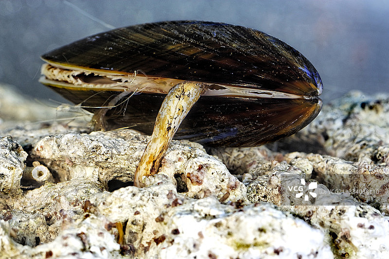 寻找稳固支撑点的脚图片素材