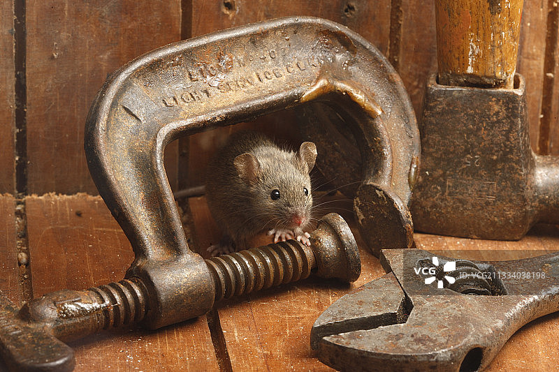 房屋和工具图片素材