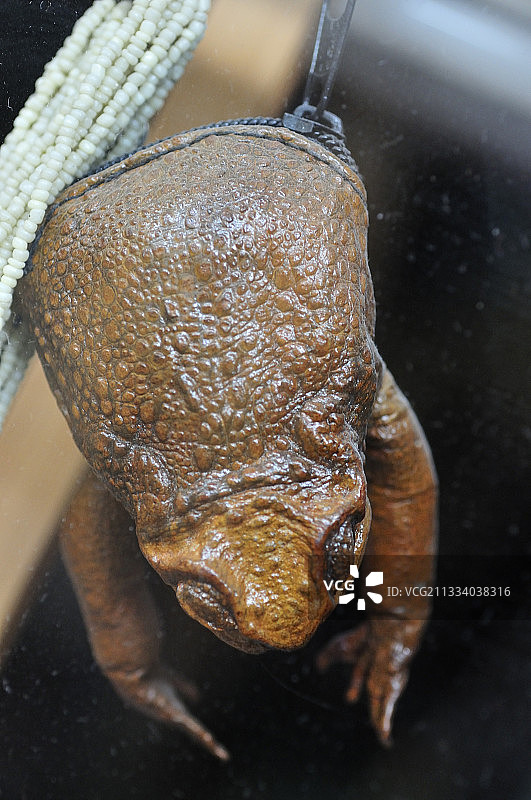 阿联酋市场上的钱包变青蛙图片素材