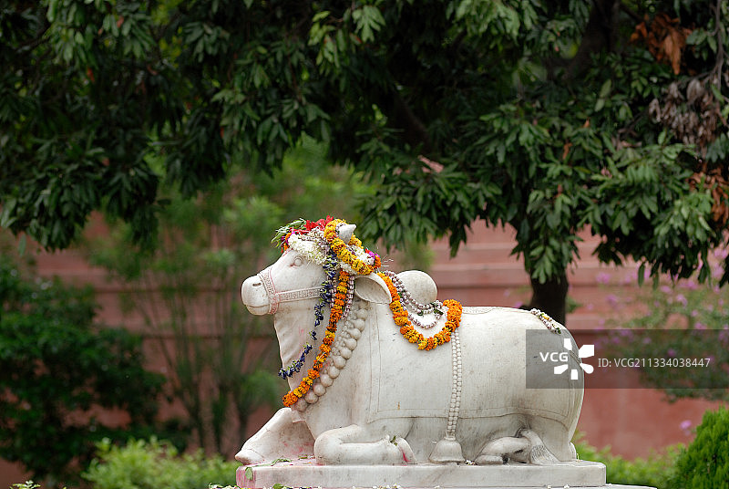 印度瓦拉纳西的南迪神像图片素材