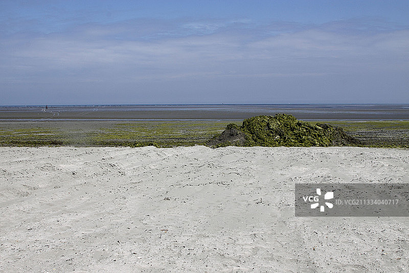 布列塔尼海滩上具有污染性的绿色藻类合集图片素材