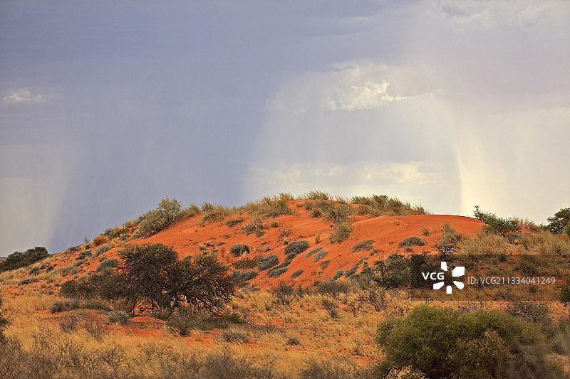 南非卡拉哈里沙漠沙丘中的风暴图片素材