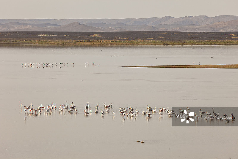 齐兹河的复苏图片素材