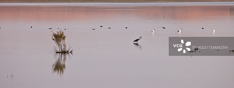 齐兹河的复苏图片素材