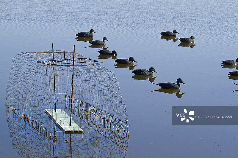 呼叫器和合成笼，用于接收实时呼叫图片素材