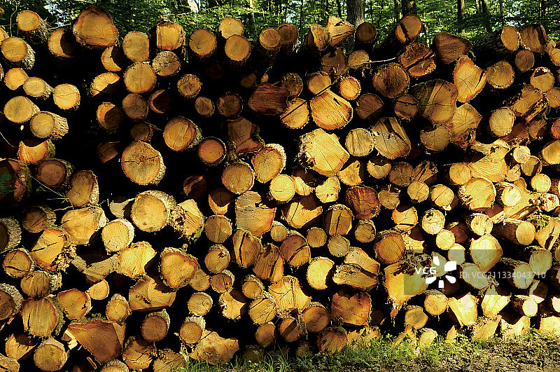 橡木原木被认为是世界上的制桶材料，被用于许多法国和加利福尼亚的葡萄园图片素材