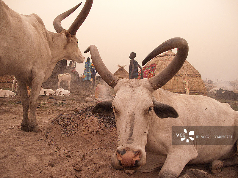 哈布是来自撒哈拉沙漠的沙尘暴的名称图片素材
