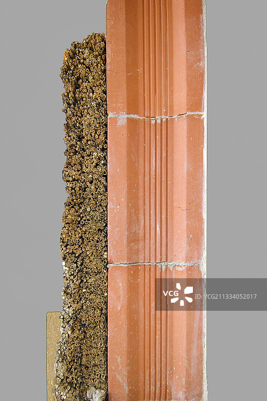 由内而外：罗索砖蜂窝-石灰图片素材