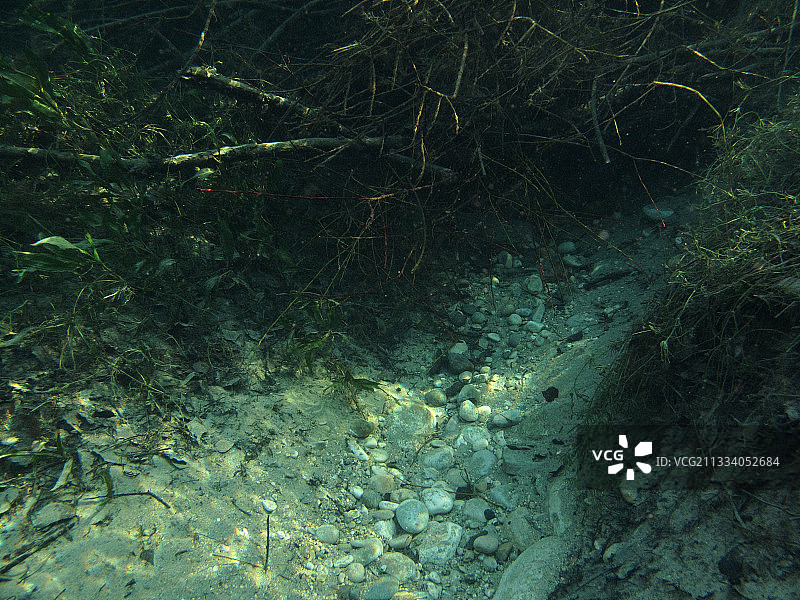 法国安河回水中的海狸洞穴图片素材