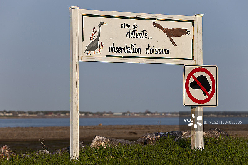 加拿大魁北克沿海观鸟点图片素材