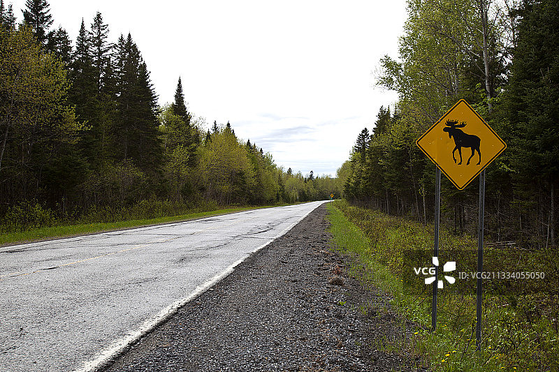 魁北克Gaspesie国家公园麋鹿出没指示牌图片素材