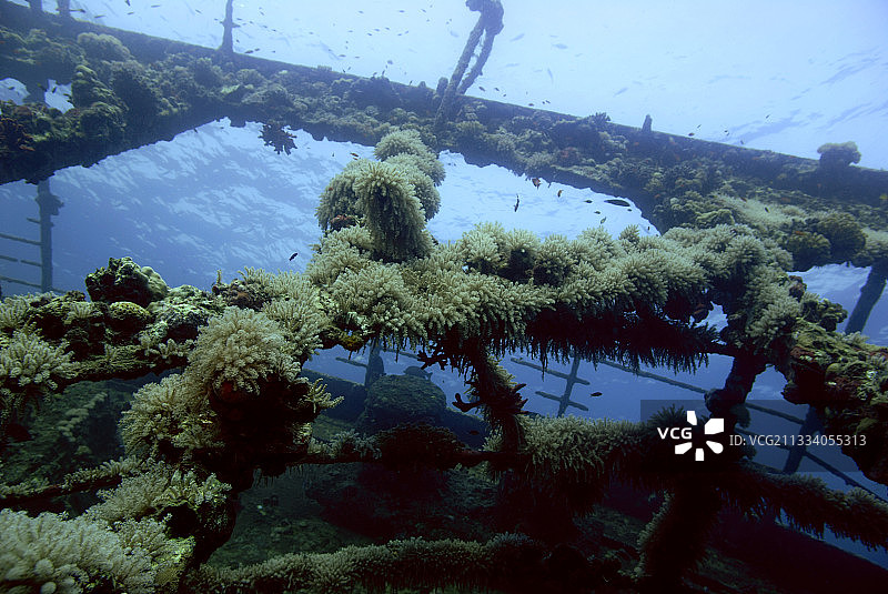 翁布里亚号：1940年在苏丹港入口处沉没的意大利蜗牛船图片素材