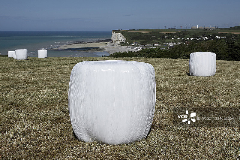 塑料薄膜包裹的Bale青贮饲料厂图片素材