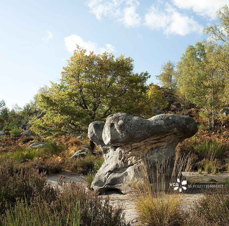 枫丹白露森林阿普雷蒙峡谷的岩石图片素材