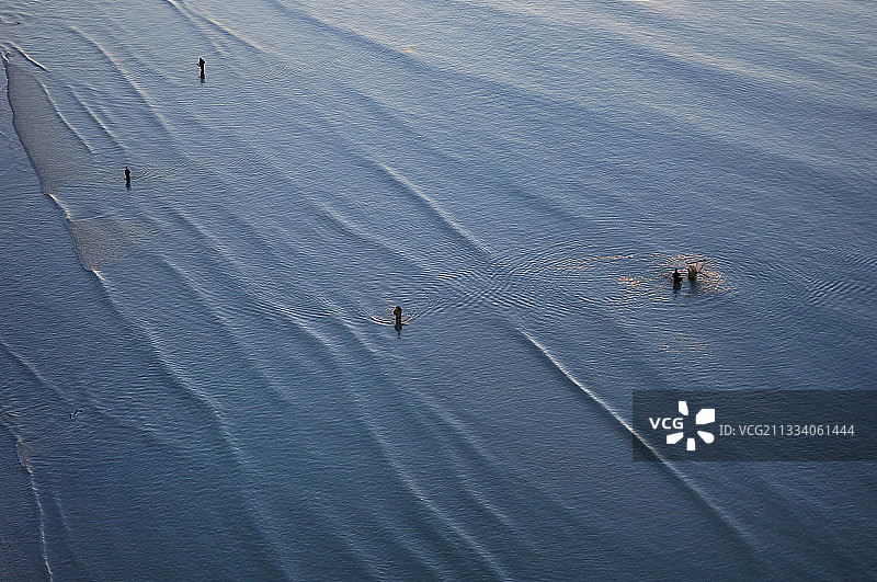 法国诺曼底海滩上的渔网虾图片素材