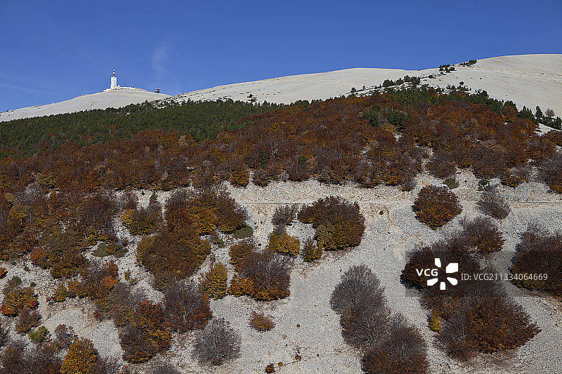 冯杜山北侧秋季山毛榉森林图片素材