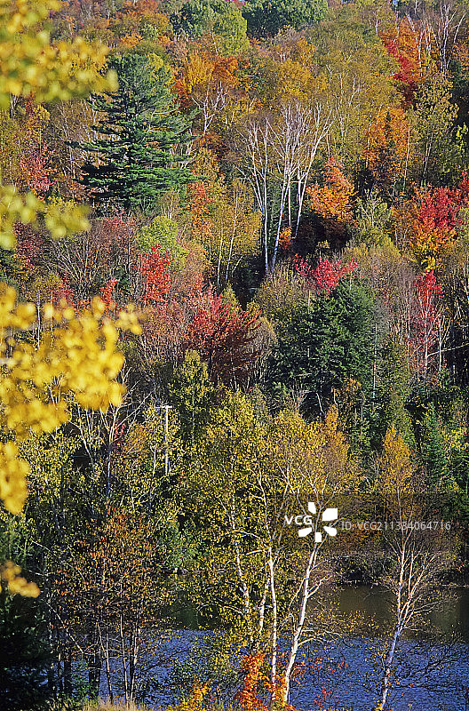 加拿大的秋天图片素材
