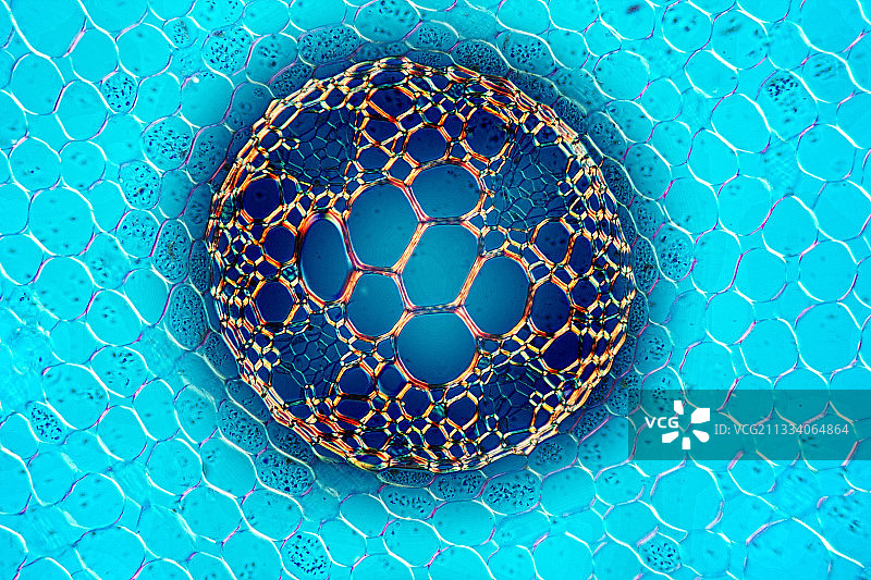 偏振光照明：石膏云母补偿片，放大倍数x160图片素材