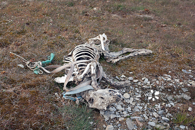 纬度：74°45′N，经度：94°58′W图片素材