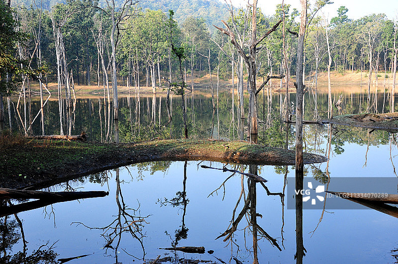 吉卜林在公园为《丛林之书》寻找灵感图片素材