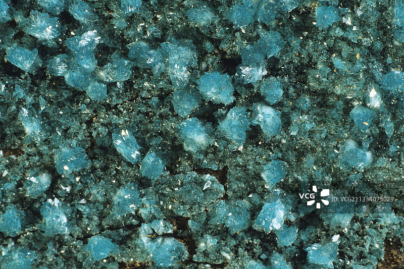 矿业学院藏品<br>尺寸：1.8厘米图片素材