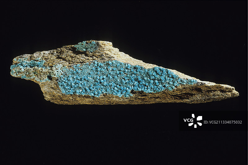 矿业学校藏品，尺寸：13.5厘米图片素材