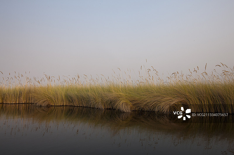 博茨瓦纳奥卡万戈三角洲的沼泽图片素材