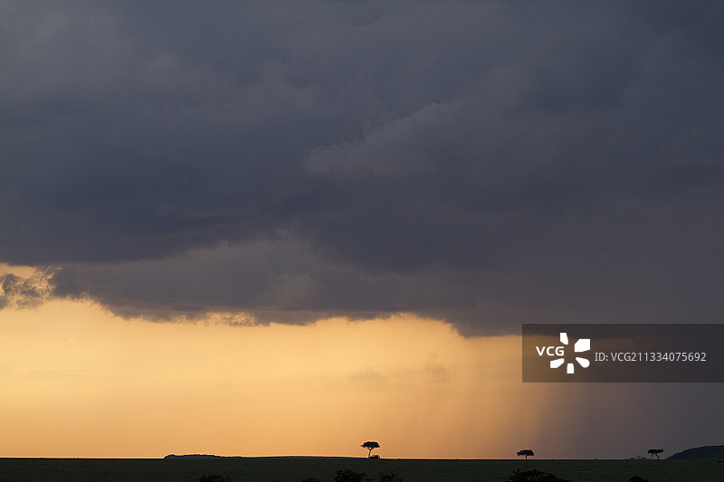 肯尼亚马赛马拉热带草原上的日落图片素材