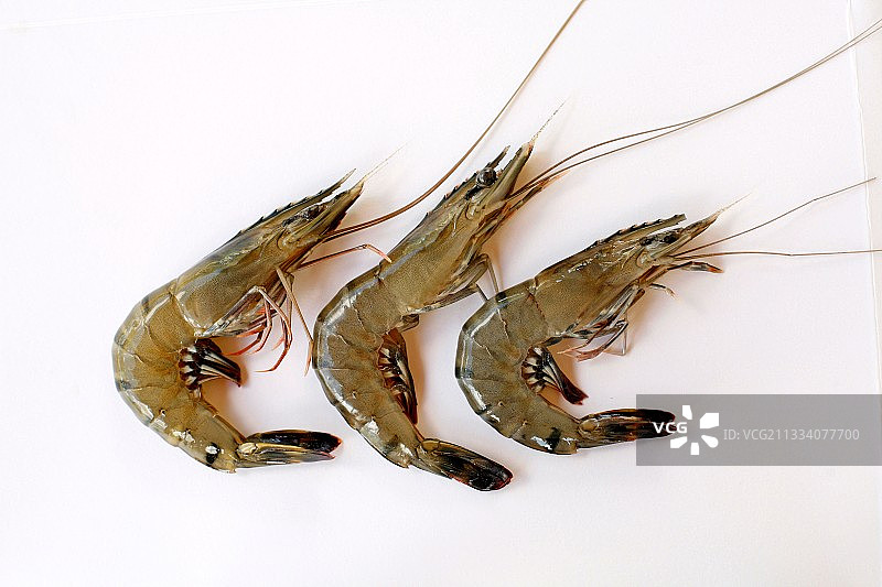 马达加斯加的虾养殖场被认为是世界上最环保的，并得到世界自然基金会和联合国教科文组织的支持。图片素材