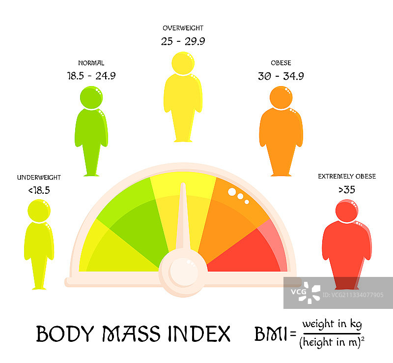 BMI概念：从体重不足到超重的体型图片素材