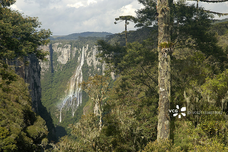 巴西伊泰姆贝辛戈瀑布图片素材