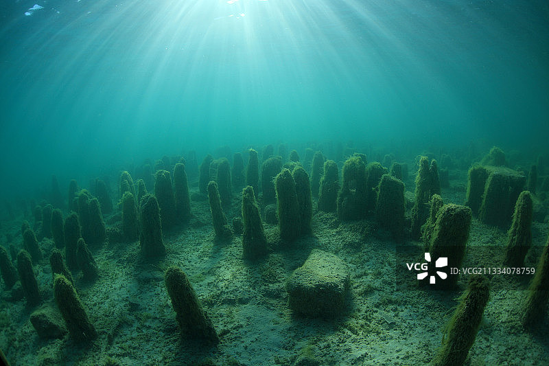 湖边房屋被上涨的水位淹没图片素材