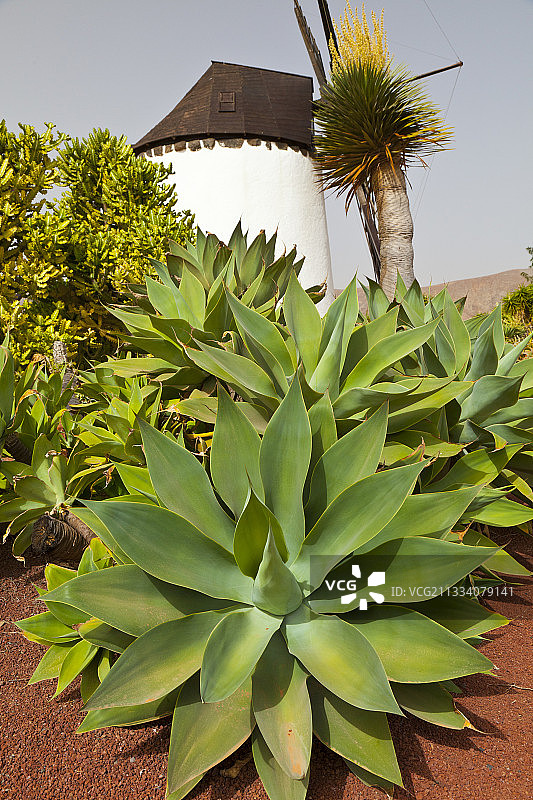 安提瓜磨坊戈菲奥解说中心图片素材