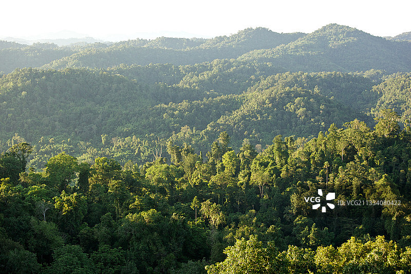 老挝北部博乔自然保护区风光图片素材