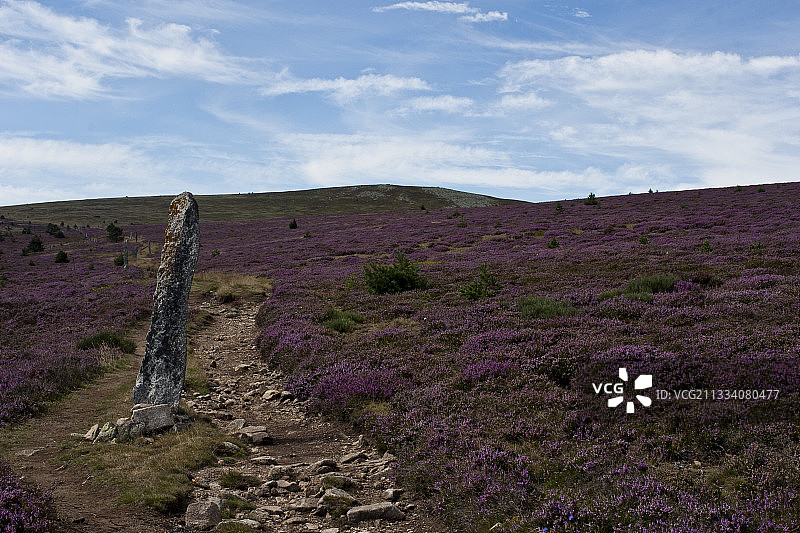 法国塞文山脉的史蒂文森小径图片素材