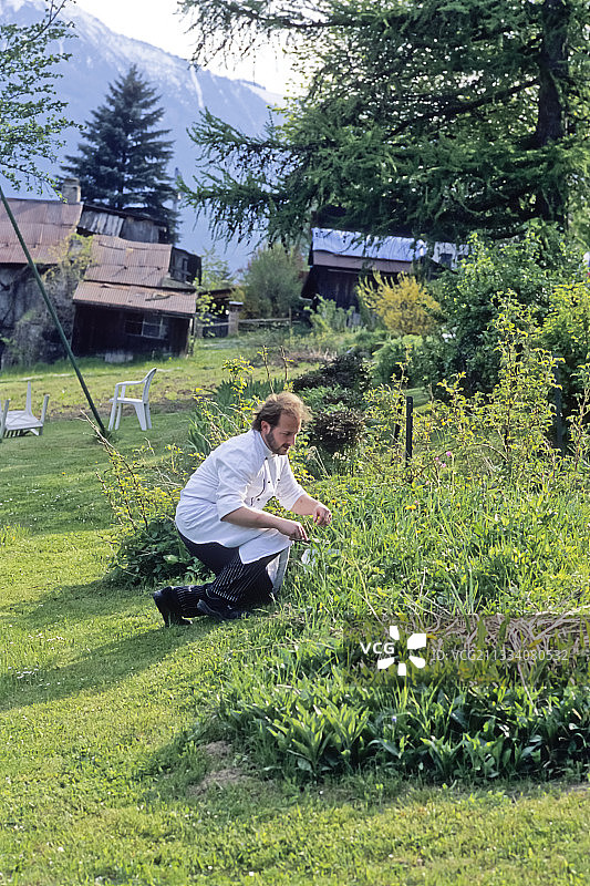 在法国阿尔卑斯山花园中采摘蔬菜图片素材