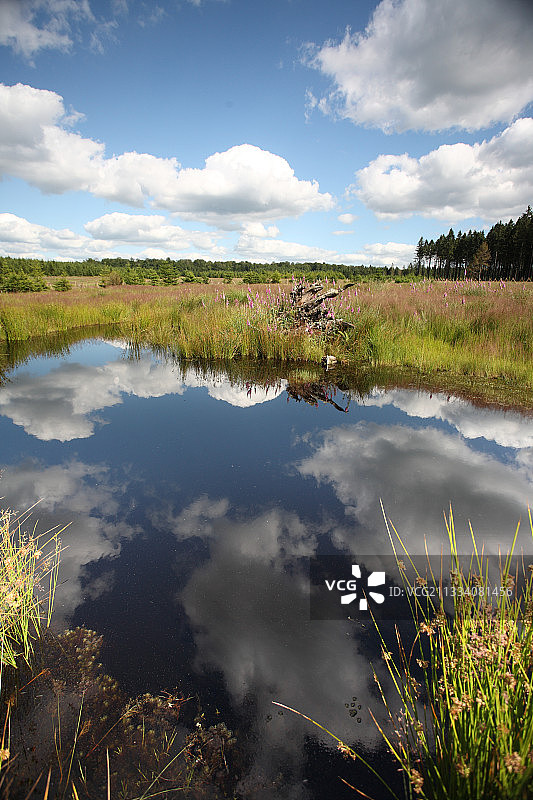 比利时泥炭沼泽中的云朵倒影图片素材